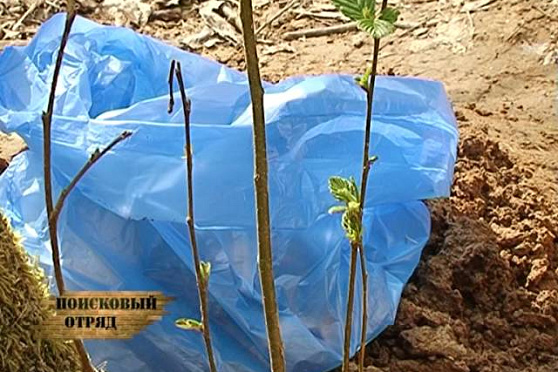 Поисковый отряд 17.06.2014