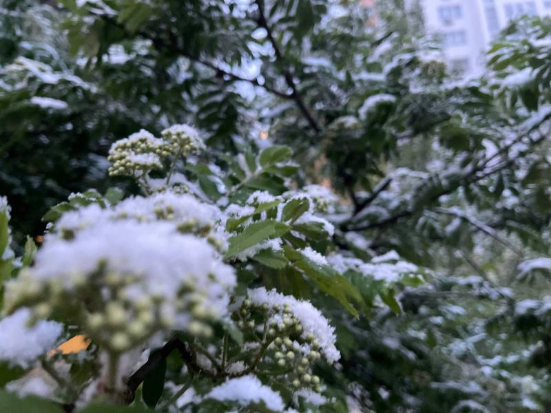 Стало известно, когда в Самару придут первые дневные заморозки