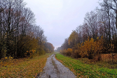 В Самарской области 18 октября будет дождливый и теплый день