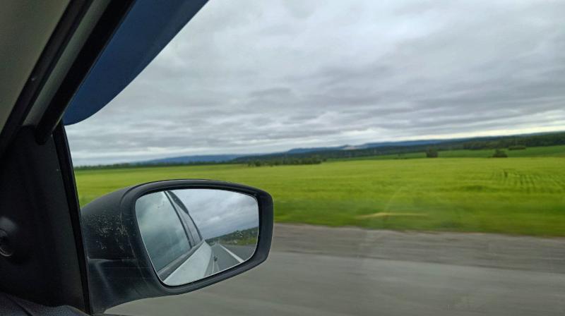 Стало известно, будет ли действовать запрет на покупку-продажу праворульных машин 