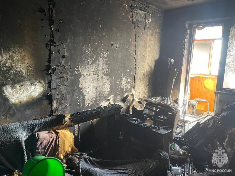 В Тольятти непотушенная сигарета погубила мужчину, кошку и собаку