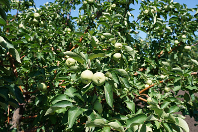 Читайте в свежем выпуске газеты "Волжская коммуна" 14 июля