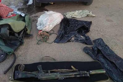 Браконьеры убили самку пятнистого оленя из "Сайги" в Самарской области