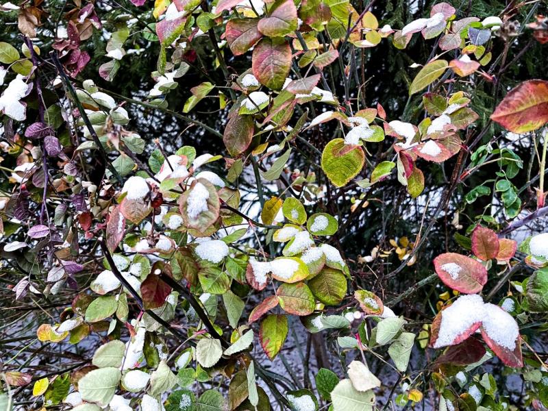 В Самарской области местами похолодает до - 16 градусов