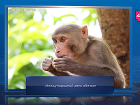 Название статьи