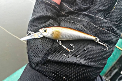 Рыбака из Сызрани пригласили стать инспектором после статьи в СМИ