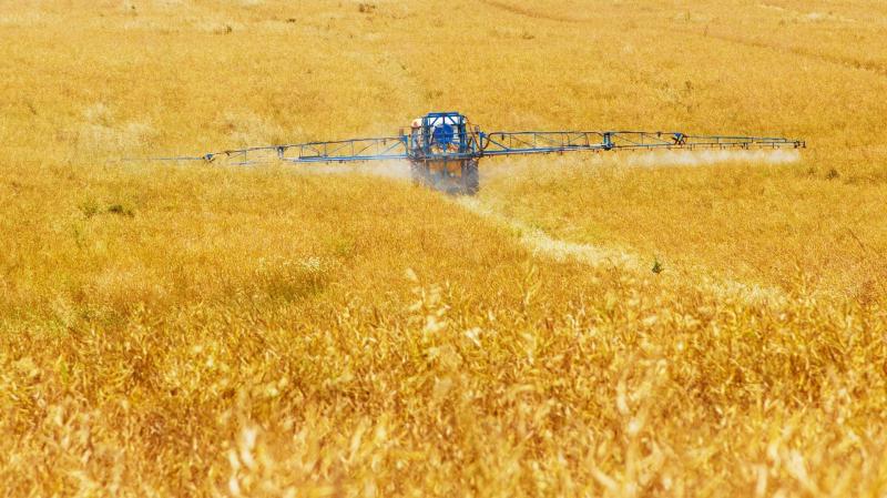 "Урожай такой, что голодать не будем": в Самарской области подвели итоги аграрного сезона