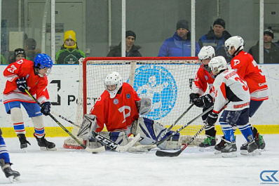 Команда "Дубрава" стала победителем регионального этапа соревнований "Золотая шайба - 2023"