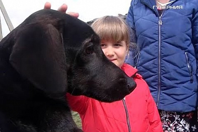 Блогер Виталий Ковригин приютил спасенную телевизионщиками собаку