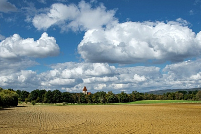 В Самарской области подорожает межевание сельскохозяйственных земель