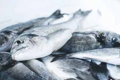 В Поволжье задержали почти 60 тонн возможно опасной рыбы