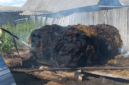 Название статьи