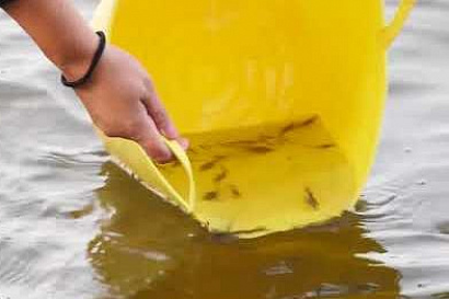 Название статьи