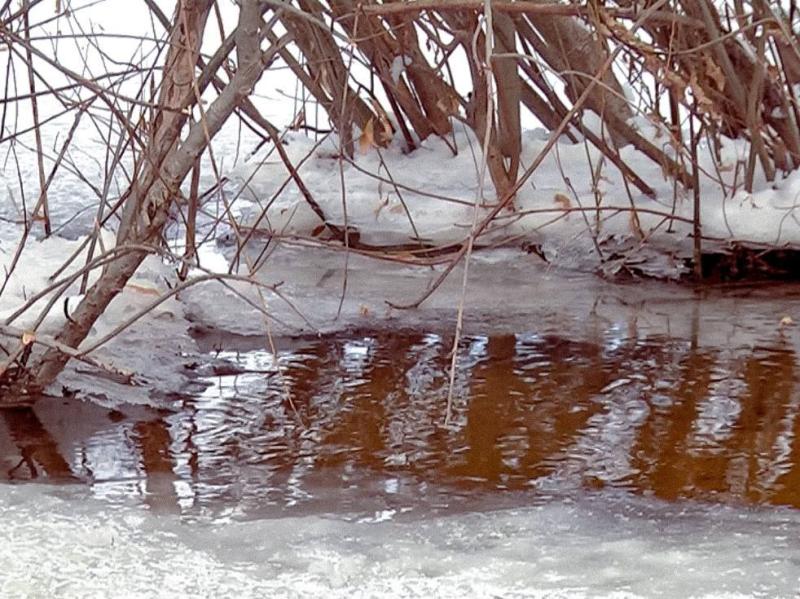 Стал известен прогноз паводковой обстановки в Самарской области