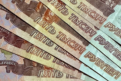 Россиянам напомнили, как получить онлайн-выписку об остатке материнского капитала