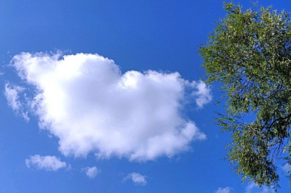 Название статьи