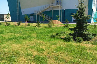 В селе Георгиевка Кинельского района появится Аллея Ветеранов