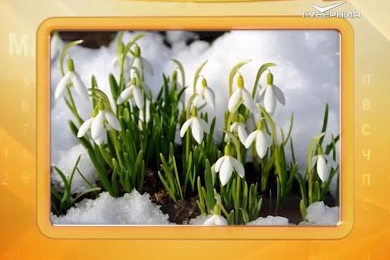 Календарь губернии 03.11.2016