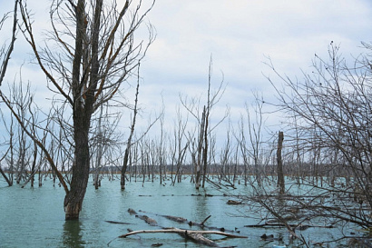 Название статьи