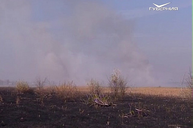 Россельхознадзор предупредил жителей Самарской области о штрафах за поджог сухостоя