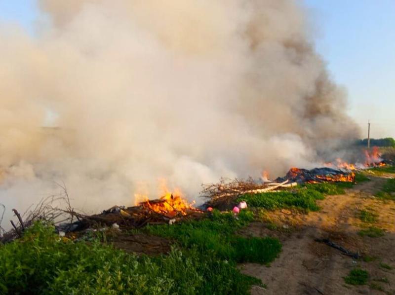 В Самарской области сгорело 400 квадратных метров мусора