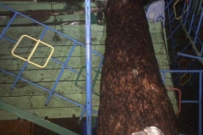 В Тольятти ураган раздавил домик с туристами