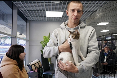 На матче КС - "Сочи" в Самаре ищут новый дом для кошек из приюта
