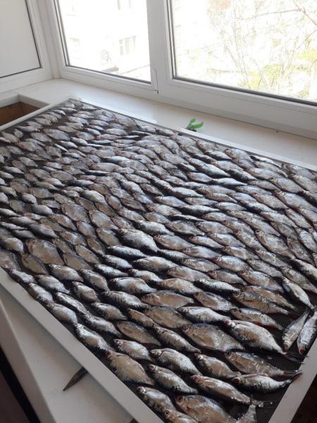 Житель Сызрани сделал из рыбы настоящий ковёр