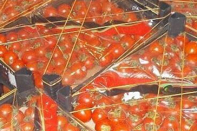 В Самаре уничтожили 1,5 тонны «неправильных» томатов и груш