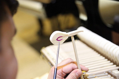 Сотрудники Самарской филармонии на карантине готовят новые программы