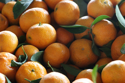 Эксперт рассказал, как совместить новогодний стол и здоровое питание