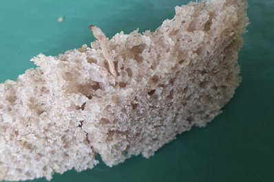 Жители Сызрани в ржаном хлебе обнаружили червяка