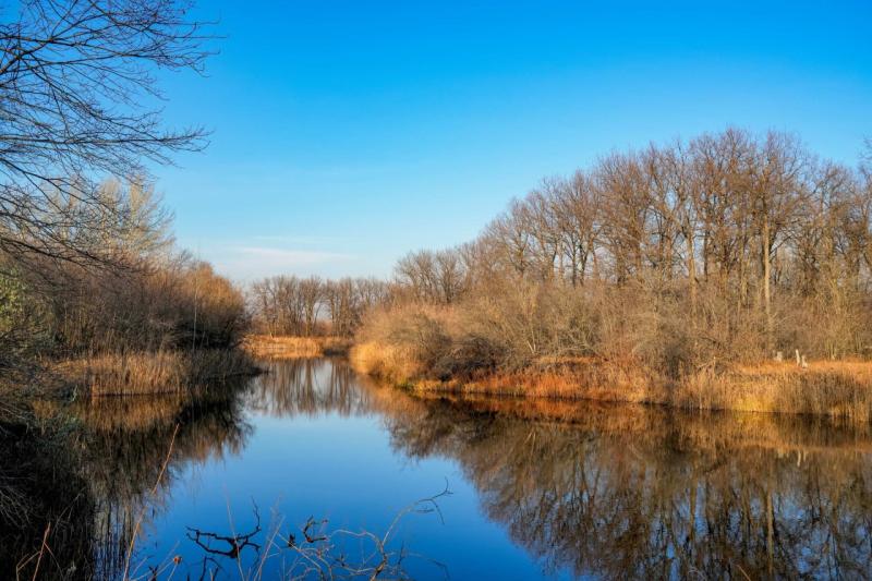 В Хворостянке прошел экологический субботник у озера Морозиха