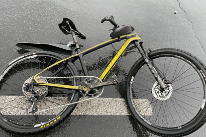 Название статьи