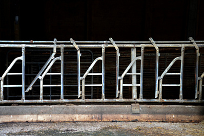 Подросток при падении попал рукой в электромясорубку на предприятии под Новосибирском