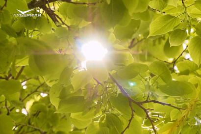 Название статьи