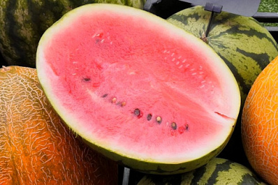 Самарский диетолог Сазонова рассказала, сколько арбуза можно съедать в день