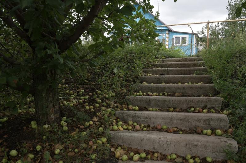 Двое жителей Самарской области оформили на себя 18 чужих земельных участков