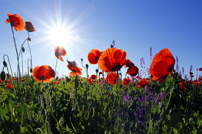 Народные приметы на 16 июля 2025 года: что нельзя делать в этот день 