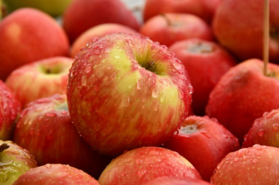 Яблочный спас в 2022 году: когда празднуем, приметы и запреты