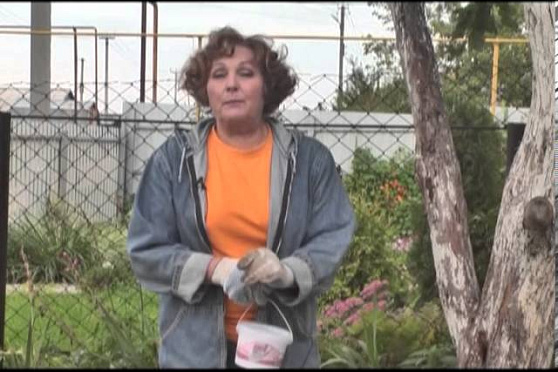 Дачные советы 26.09.2013 