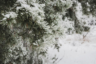 Народные приметы на 2 февраля 2025 года: что нельзя делать в этот день