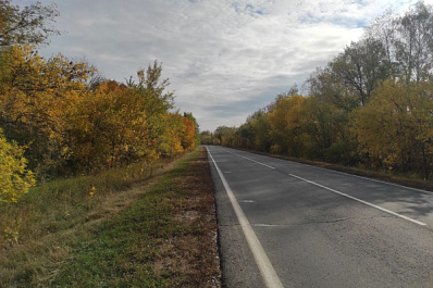 Время гулять: в Самарской области 1 ноября будет тепло и сухо