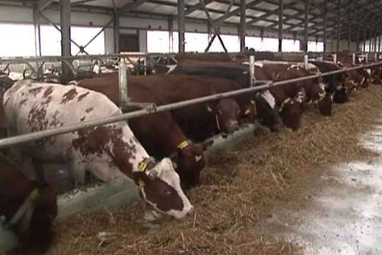 Открытый урок 28.05.2013 