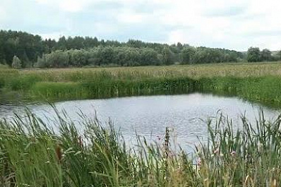 Озеро в Новом Буяне спасено от вымирания
