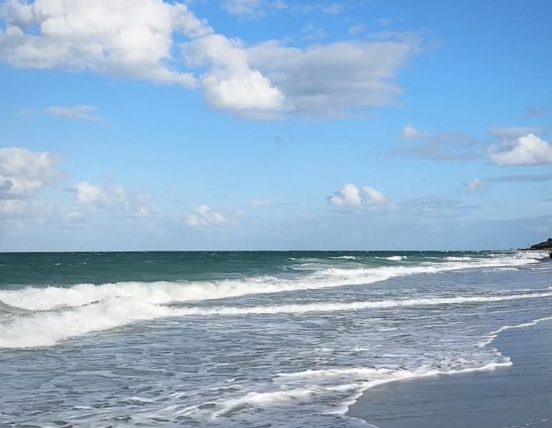 Всемирный день океанов: какие праздники отмечают 8 июня