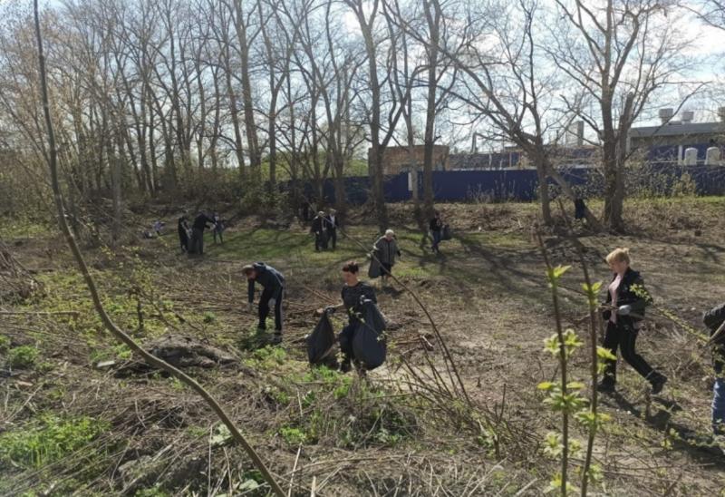 Вынужденные переселенцы из Украины и Донбасса решили помочь с уборкой города в Тольятти