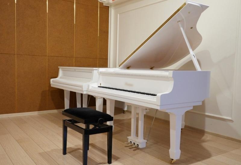 В Самарской области открыли еще одну "Детскую филармонию"