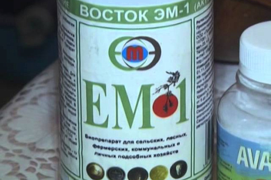 Дачные советы 6.02.2014