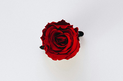 Яркие герберы, тюльпаны и розы: в Самару к 8 Марта завезли 5,3 тонны цветов